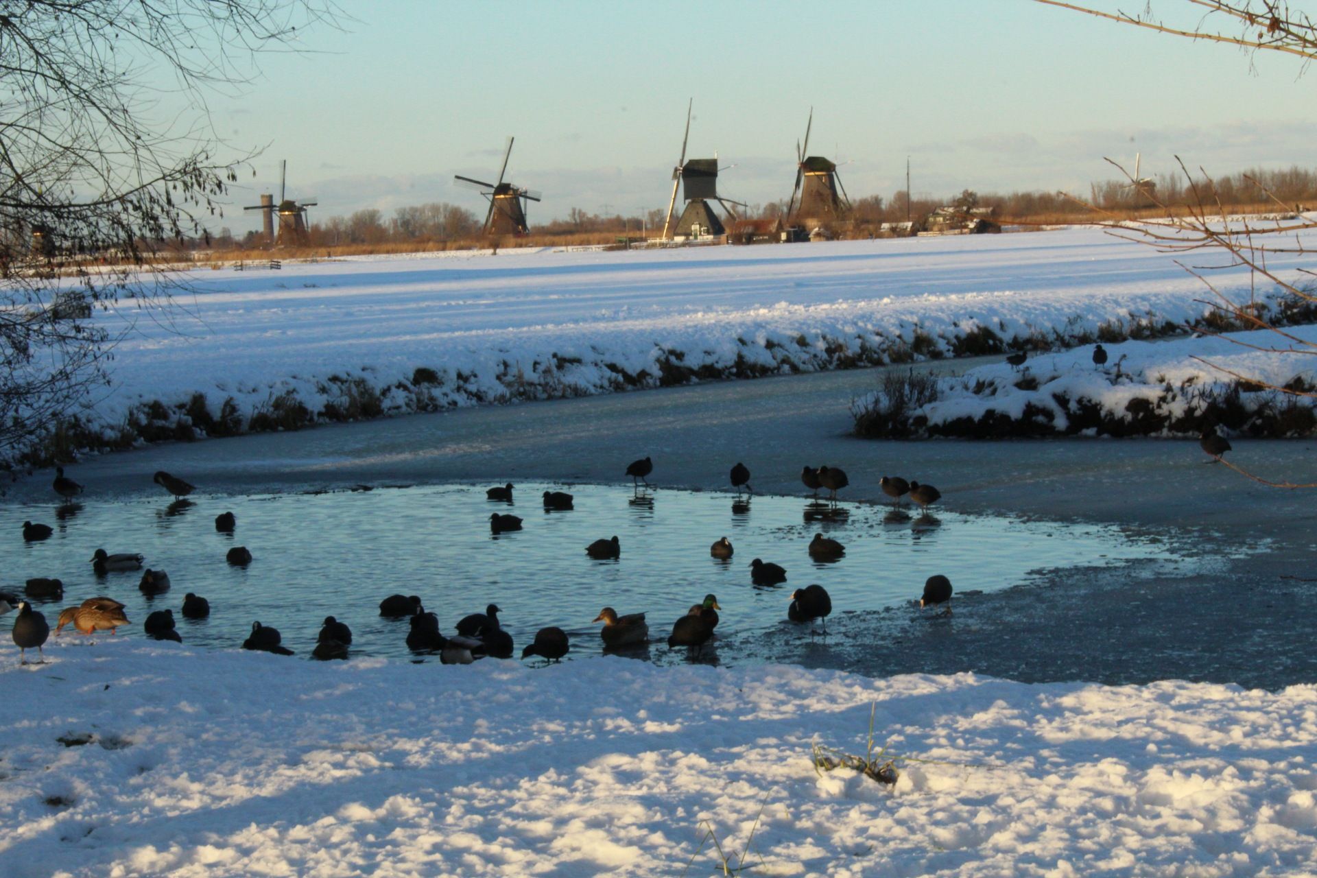 Nieuws - Deel jouw mooiste foto-5